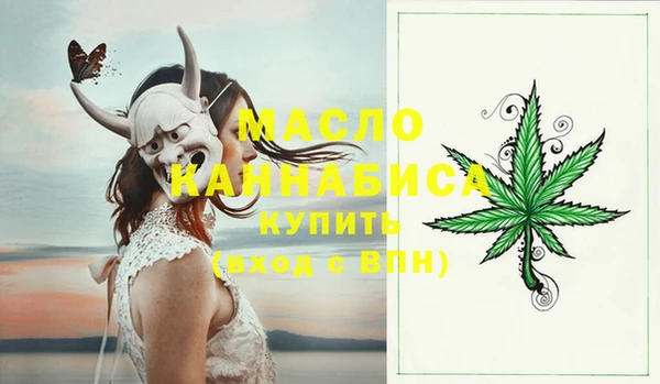гидра Горнозаводск