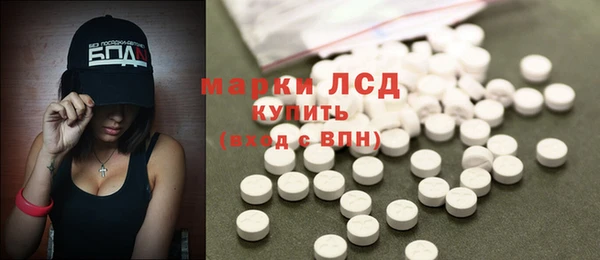 гидра Горнозаводск